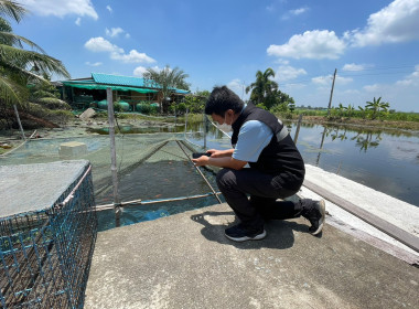 ร่วมลงพื้นที่เพื่อติดตามผลการดำเนินกิจกรรมขยายผลโครงการเกษตรเพื่ออาหารกลางวัน กิจกรรมอันเนื่องมาจากพระราชดำริ ภายใต้โครงการพัฒนาคุณภาพด้านการศึกษาและเพิ่มทักษะการประกอบอาชีพ ประจำปีงบประมาณ พ.ศ. 2566 ... พารามิเตอร์รูปภาพ 5